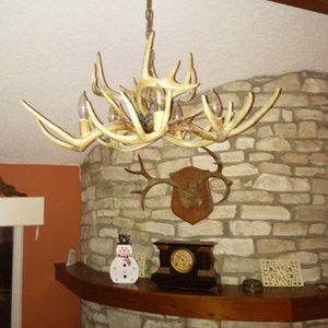White tail deer antler chandiler