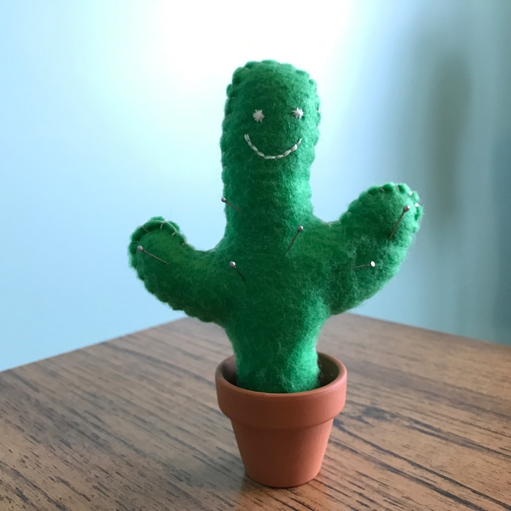 Handmade Cactus decor