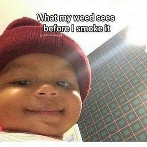 Meet your Posher, Trini