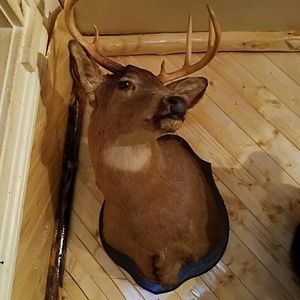 Meet your Posher, Tanya