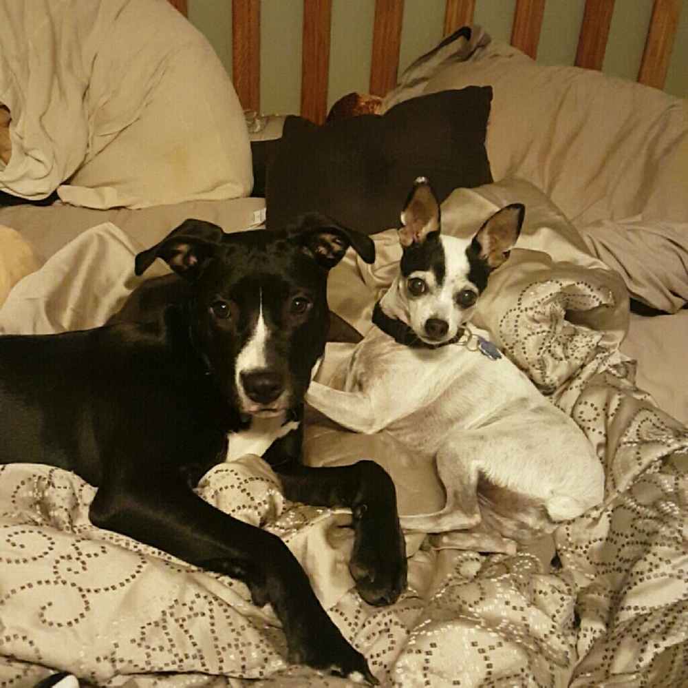 Meet your Posher, Jennifer