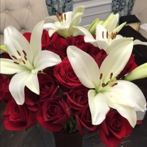 Meet your Posher, Haley