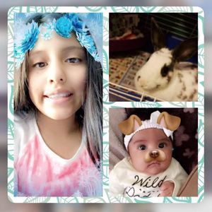 Meet your Posher, Ally