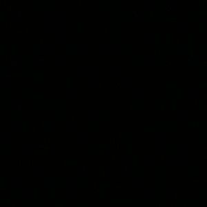 Meet your Posher, Daisy