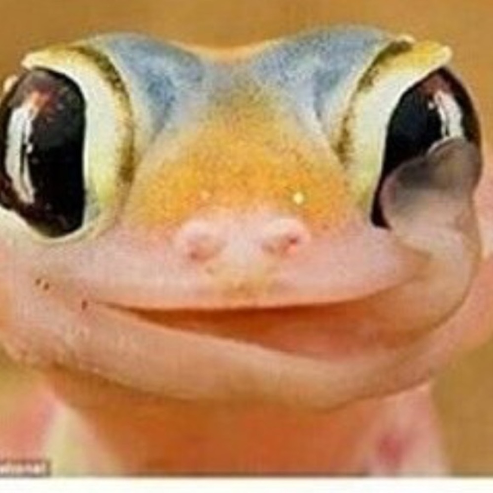 Meet your Posher, Avery