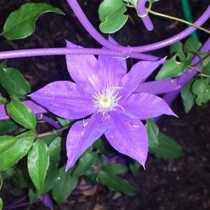 Meet your Posher, Sheri