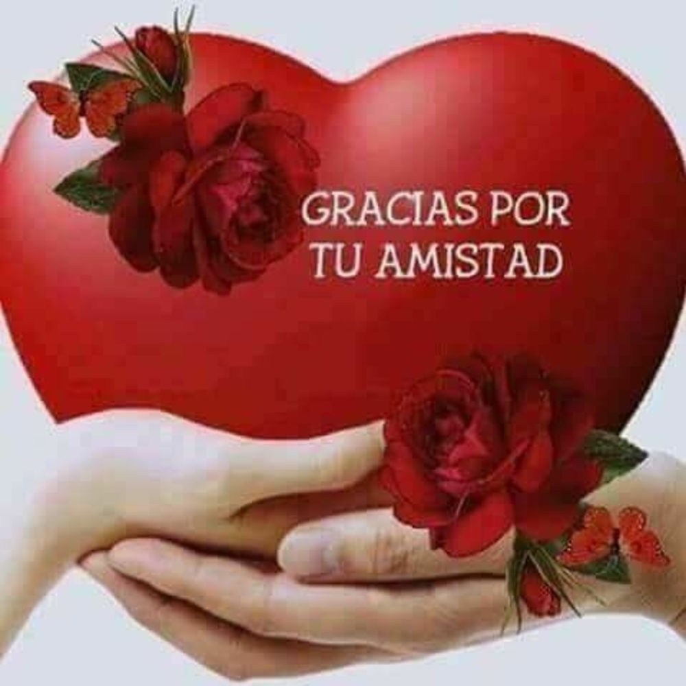 Meet your Posher, Antonia