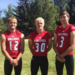 Meet your Posher, Casey