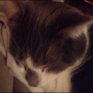 Meet your Posher, Deanna