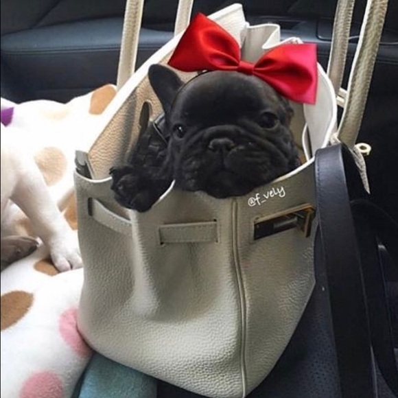 Meet your Posher, Natalie - Picture 1 of 1