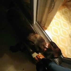 Meet your Posher, Sonya