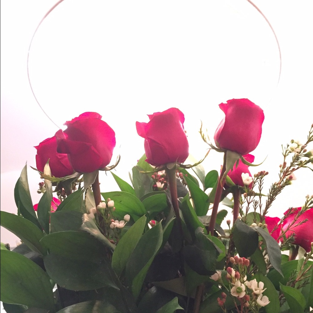 Meet your Posher, Jay