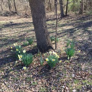 Meet your Posher, Carole