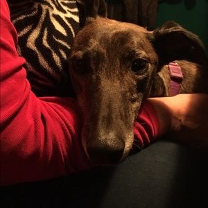 Meet your Posher, Sami