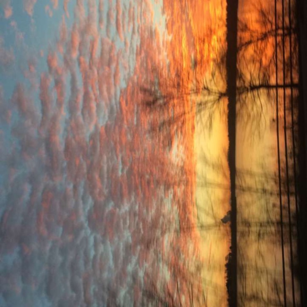 Meet your Posher, Tanner