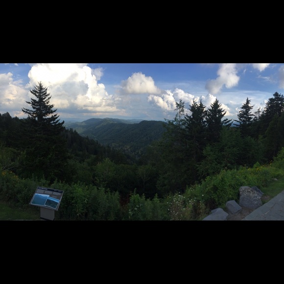 Meet your Posher, Emily - Picture 1 of 1