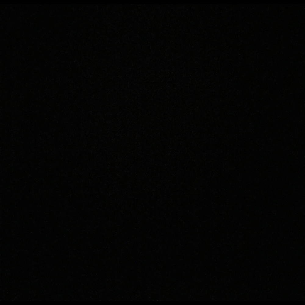 Meet your Posher, Ava