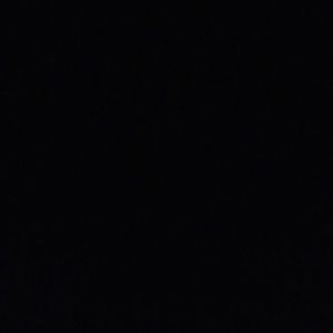 Meet your Posher, Lee