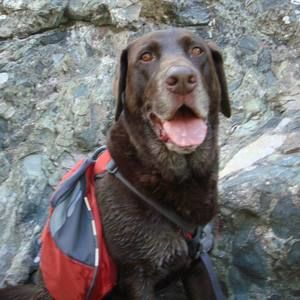 Meet your Posher, Cali