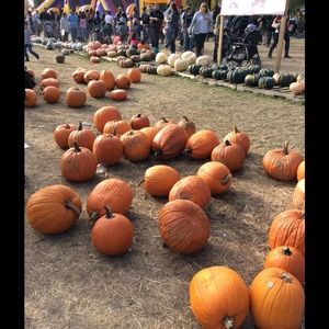 Meet your Posher, Bibi