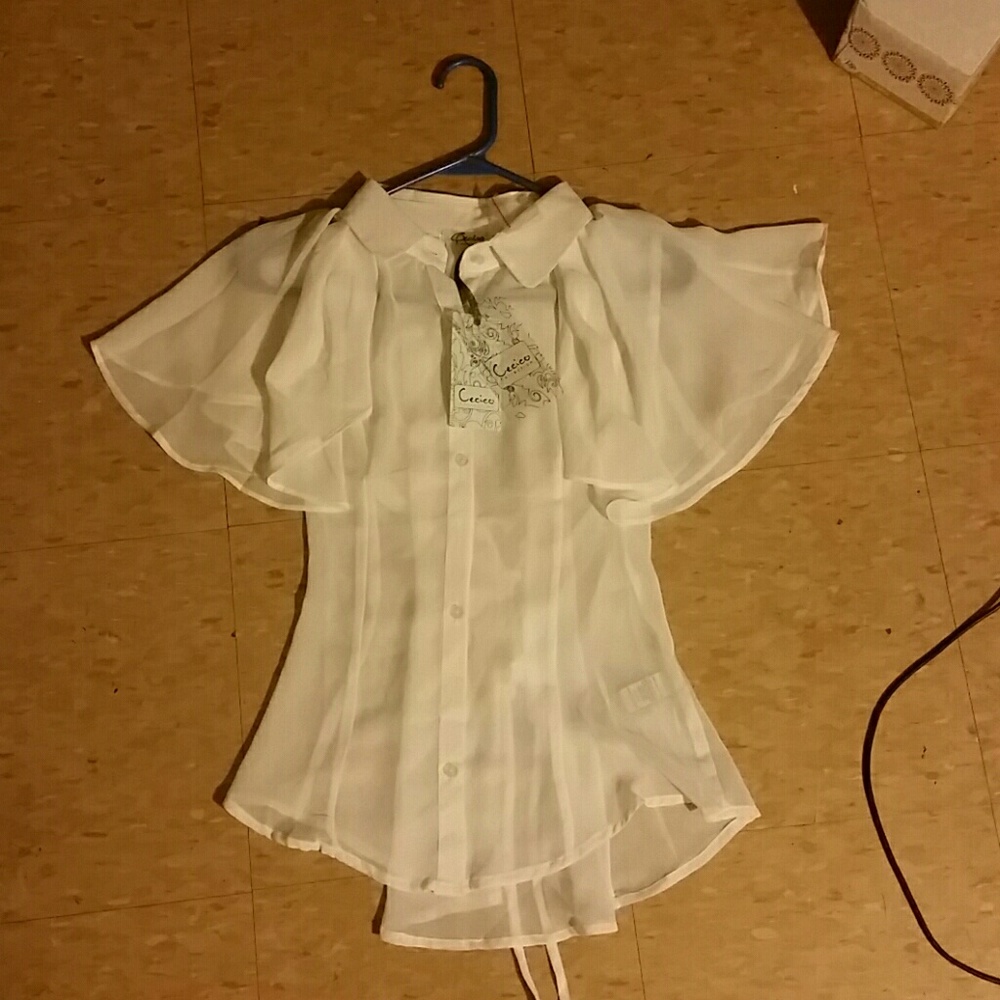 Pretty sheer (back drawstring) Blouse
