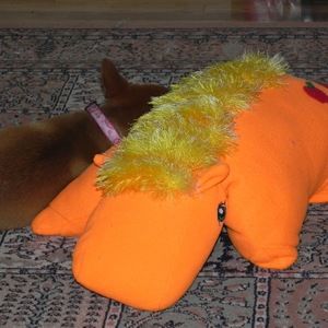 Meet your Posher, Jenn