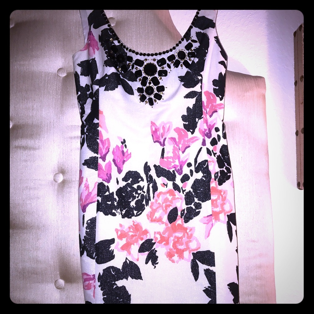 Beautiful Lilly Pulitzer Portia Dress