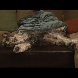 Meet your Posher, Patti