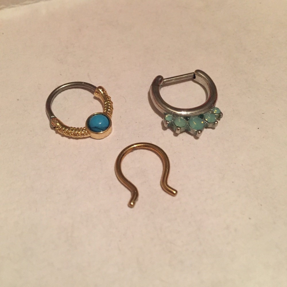 Septum ring bundle
