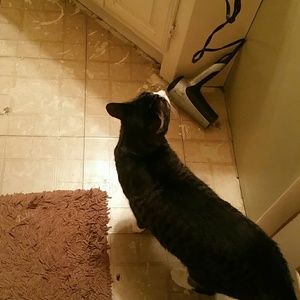 Meet your Posher, Paula