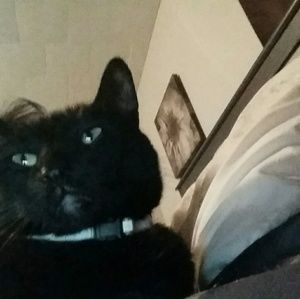 Meet your Posher, Monica