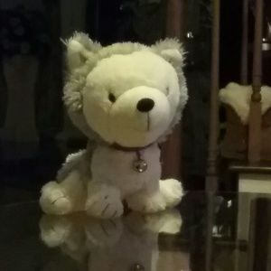 Meet your Posher, Donna