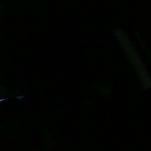 Meet your Posher, Shelly