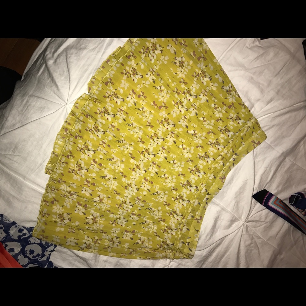 AEO Skirt