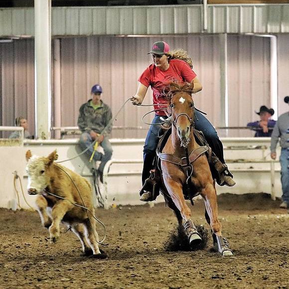 Meet your Posher, Cassidy - Picture 1 of 1