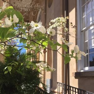 Meet your Posher, Jenny