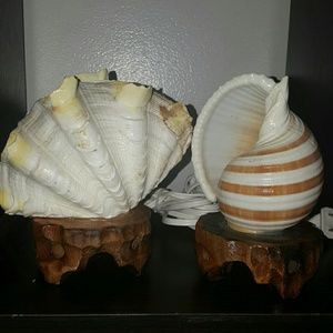 Two beautiful real seashell lamps