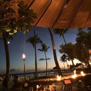 Meet your Posher, Annie