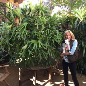 Meet your Posher, Vicki