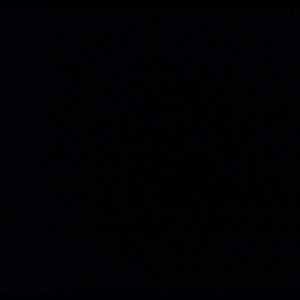 Meet your Posher, Dwayne