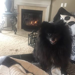 Meet your Posher, Georgena