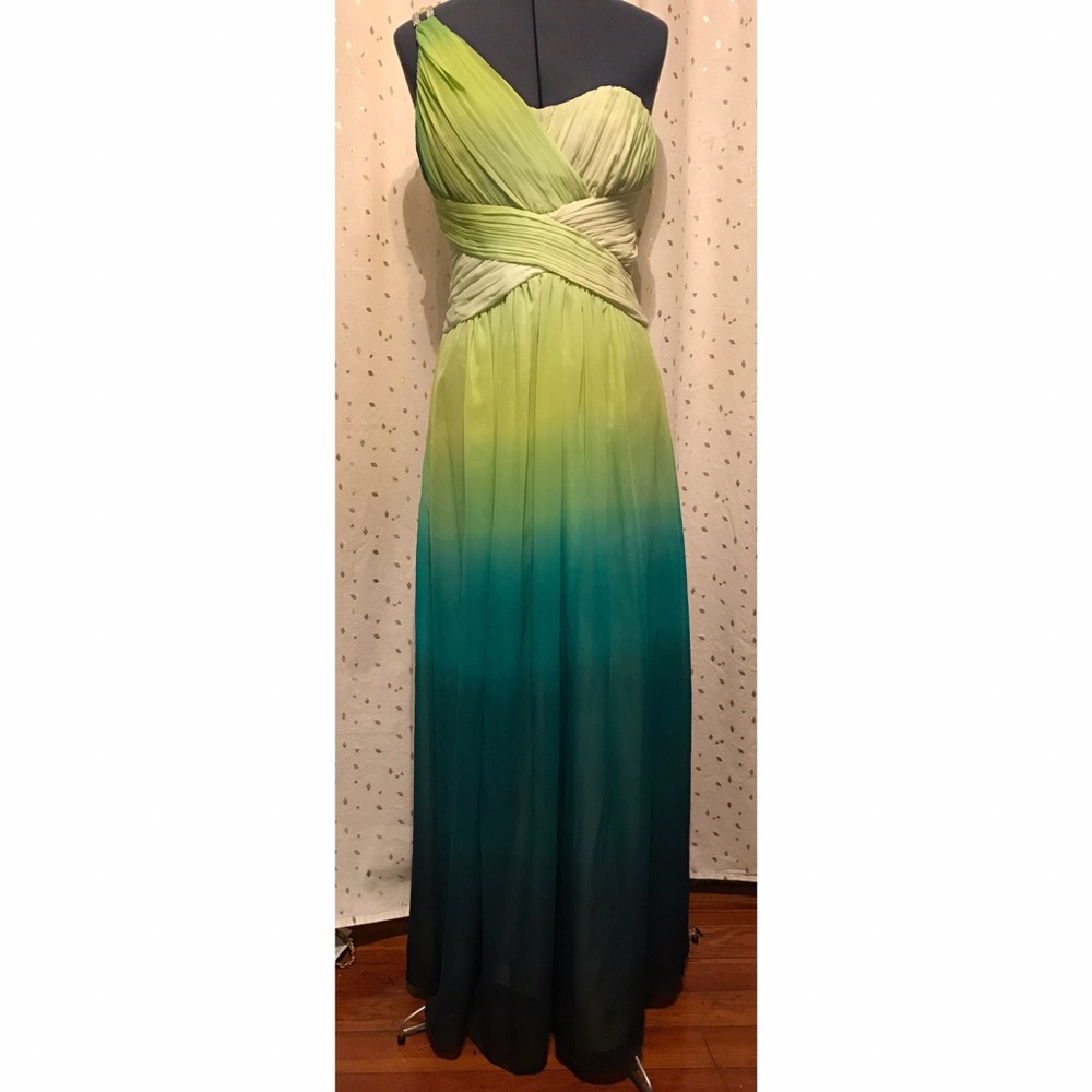 Full Length Calvin Kline Formal Gown