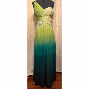 Full Length Calvin Kline Formal Gown