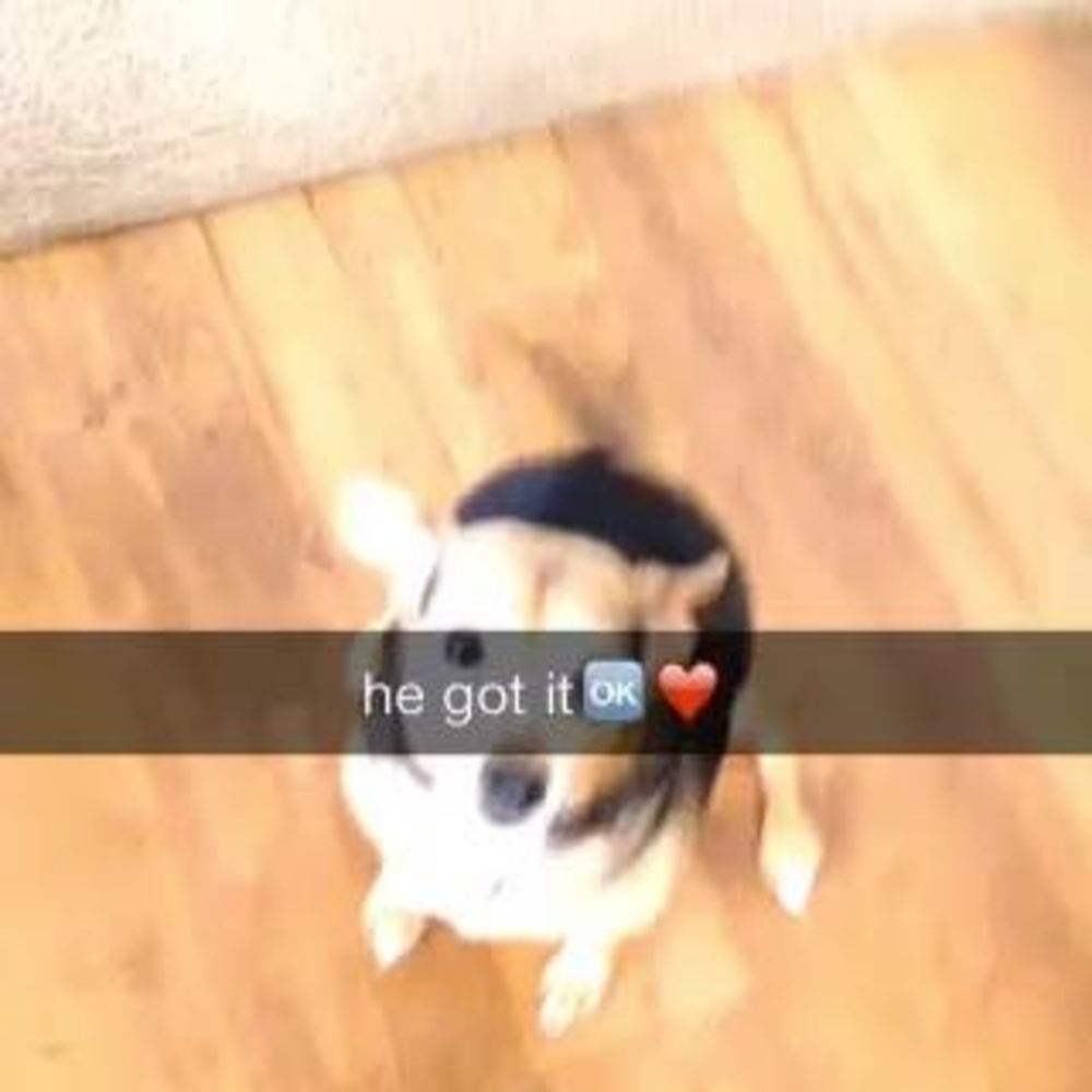 Meet your Posher, Christina