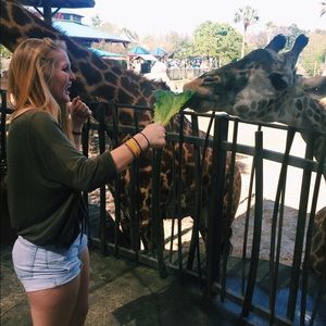 Meet your Posher, Madeline