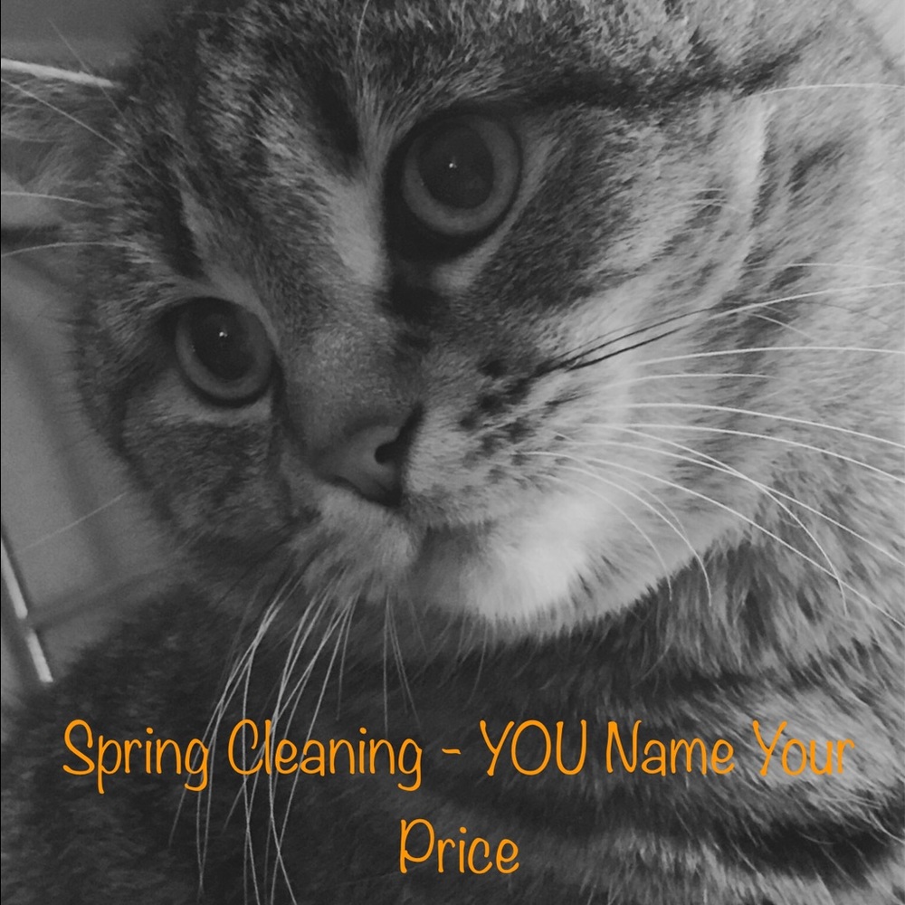 YOU NAME YOUR PRICE - Spring Cleaning