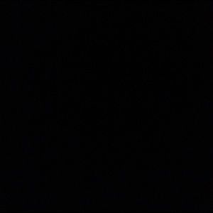 Meet your Posher, Maggie