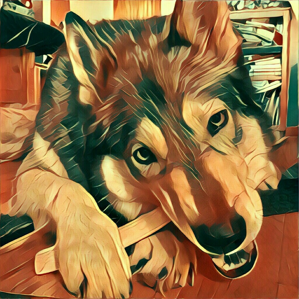 Meet your Posher, Alyssa