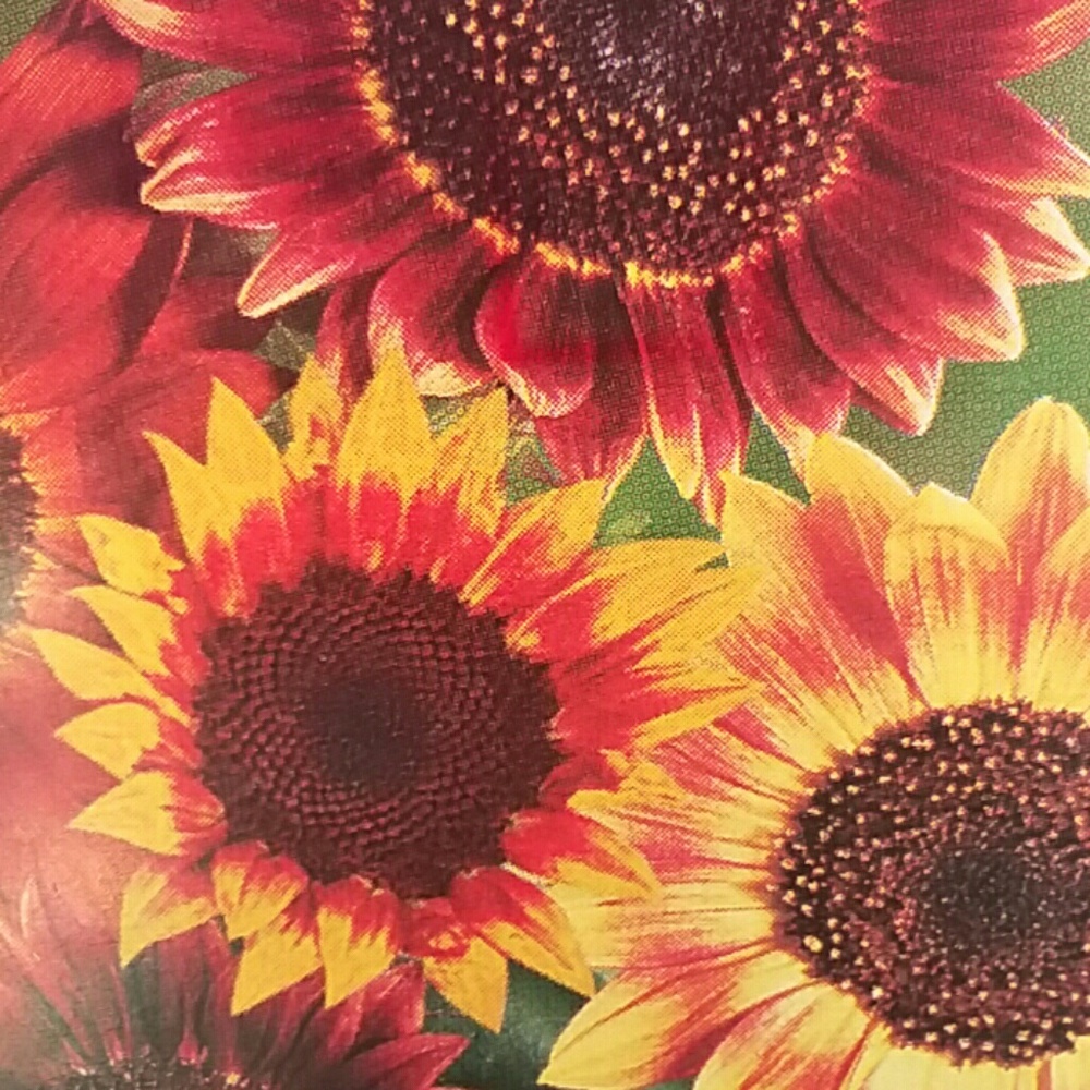 Meet your Posher, Kelli