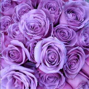 Meet your Posher, Fany